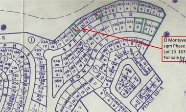 163 Sqm Sacrifice Sale Sloping Lot for Sale in El Monte Verde Consolacion Cebu