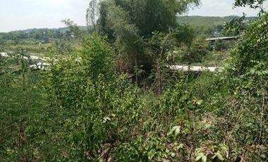 163 Sqm Sacrifice Sale Sloping Lot for Sale in El Monte Verde Consolacion Cebu
