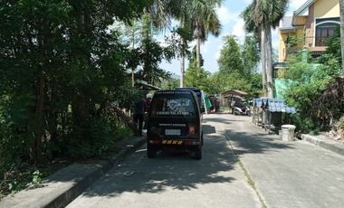 163 Sqm Sacrifice Sale Sloping Lot for Sale in El Monte Verde Consolacion Cebu