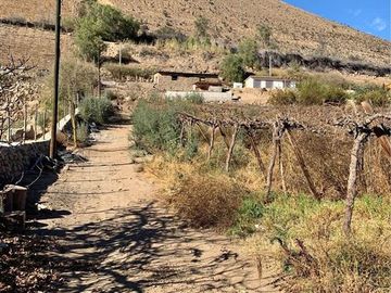 Sitio en Venta en vicuña