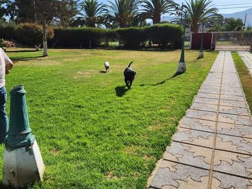 Parcela en Venta en Peñaflor central