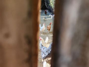 Parcela en Venta en Peñaflor central