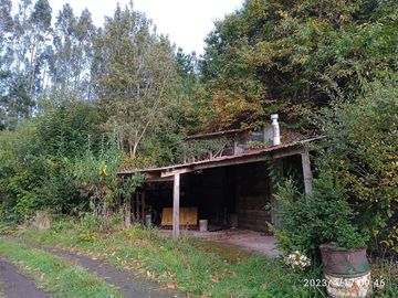 Sitio en Venta en lago ranco/ sector Ignao