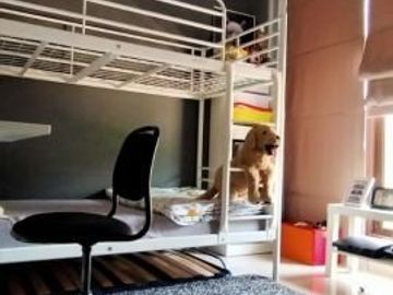 Rumah di Cinere Jual Cepat Furnished fasilitas Kolam Renang
