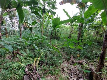 Tanah dalam perumahan raffles hills Cibubur