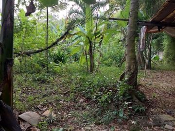 Tanah dalam perumahan raffles hills Cibubur