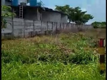 Tanah Di Tuban Mrutuk Utara Kecamatan Widang