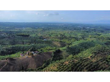 FINCA PRODUCTIVA EN QUIMBAYA