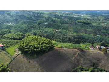 FINCA PRODUCTIVA EN QUIMBAYA