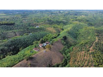FINCA PRODUCTIVA EN QUIMBAYA