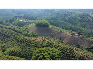 FINCA PRODUCTIVA EN QUIMBAYA