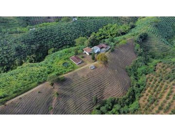 FINCA PRODUCTIVA EN QUIMBAYA