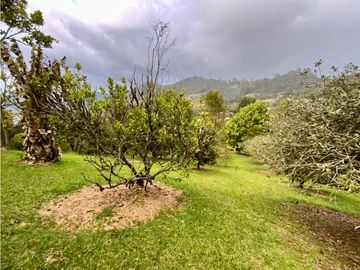 Finca Parcelacion Via La Ceja La Union (La Ceja)