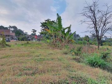 TANAH DAU LAGI TURUH HARGA CHECK