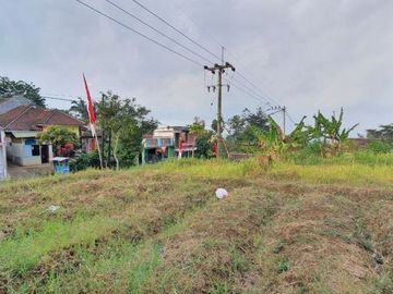 TANAH DAU LAGI TURUH HARGA CHECK