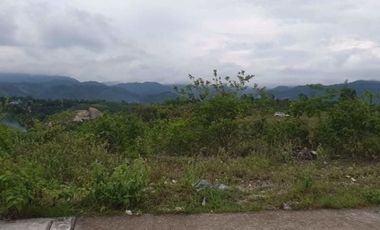 Overlooking 263 SQM SUBDIVISION LOT for Sale in Vista Verde Consolacion Cebu with Mountain View