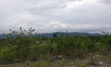 Overlooking 263 SQM SUBDIVISION LOT for Sale in Vista Verde Consolacion Cebu with Mountain View