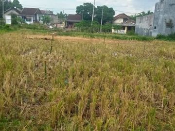 tanah dijual kaliwates jember