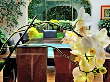 Casa en venta en Lomas de Chapultepec con 985m2 de terreno