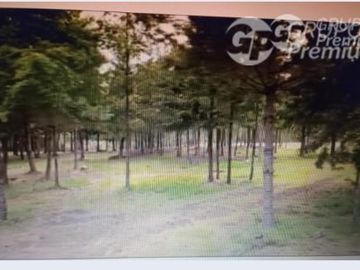 Parcela en venta en Pucón