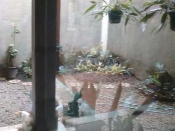 Rumah Bagus di Pondok Hijau dekat Setiabudi Gegerkalong Bandung