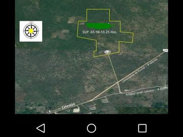 VENTA DE 65 HECTÁREAS  KINCHIL, YUCATAN