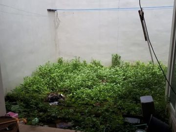 Rumah di jual di blimbing kota Malang