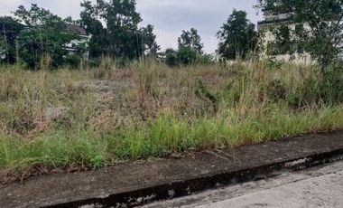 163 Sqm Overlooking Residential Lot for Sale in Vista Grande Talisay Cebu City