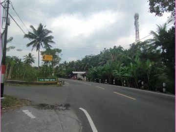 Tanah Jogja Utara 100 Jt-an Murah