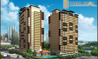 CITYLAND: Pines Peak Tower 2 Ready For Occupancy 1-BEDROOM in Mandaluyong