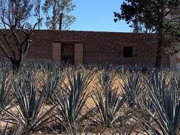 Rancho en Lagos de Moreno en Venta