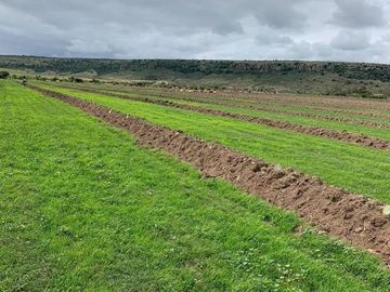 Rancho en Lagos de Moreno en Venta