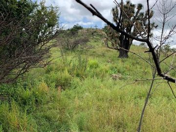Rancho en Lagos de Moreno en Venta