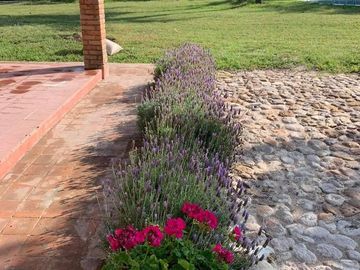 Rancho en Lagos de Moreno en Venta