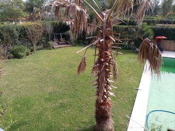 VENTA CASA 6 AMB PILETA, LA PEREGRINA, PILAR