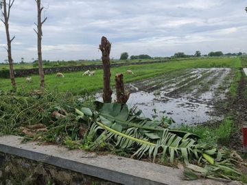 Lingkungan Aman Rumah 1 Lantai Type 36/72 di Sidoarjo