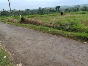 rumah dijual bintoro green hill jember lokasi tengah kota