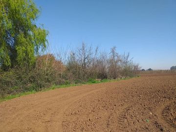 Vende Parcela Agrícola De 15,8 Hectareas 19,39 acciones de agua En Panimávida, VII