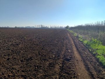 Vende Parcela Agrícola De 15,8 Hectareas 19,39 acciones de agua En Panimávida, VII