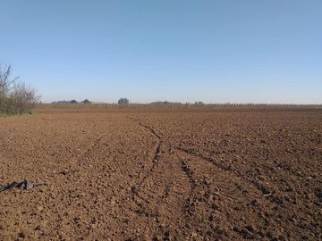 Vende Parcela Agrícola De 15,8 Hectareas 19,39 acciones de agua En Panimávida, VII