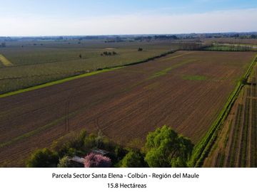 Vende Parcela Agrícola De 15,8 Hectareas 19,39 acciones de agua En Panimávida, VII