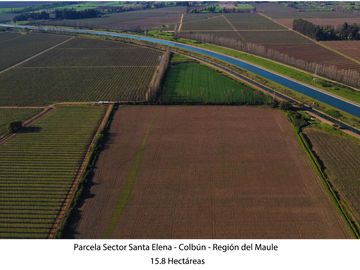 Vende Parcela Agrícola De 15,8 Hectareas 19,39 acciones de agua En Panimávida, VII