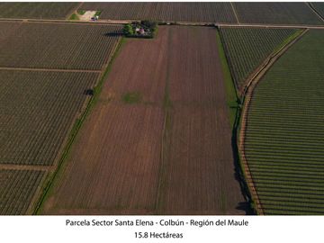 Vende Parcela Agrícola De 15,8 Hectareas 19,39 acciones de agua En Panimávida, VII