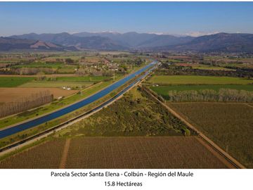Vende Parcela Agrícola De 15,8 Hectareas 19,39 acciones de agua En Panimávida, VII