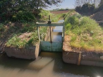 Vende Parcela Agrícola De 15,8 Hectareas 19,39 acciones de agua En Panimávida, VII