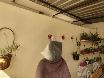 CASA DE TRES AMBIENTES AMPLIA, REFORMADA A NUEVO. CON DEPTO