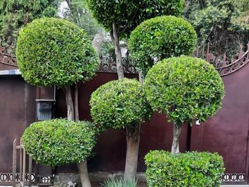 Casa en venta en Jardines en la Montaña