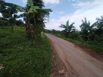 Tanah Bandung 600 Ribuan/m Cicalengka Luas 112 m2
