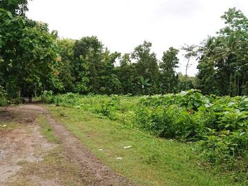 Tanah kavling ideal siap bangun di jalan Wates Km 7