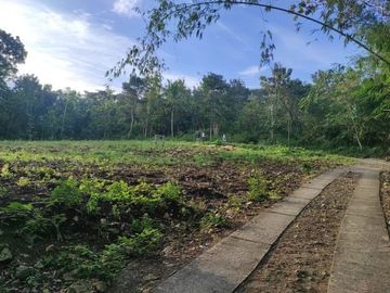 Tanah Jogja Lahan Matang 1 Jt-an SHM